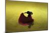 A Matador Warming Up in a Private Arena-null-Mounted Photographic Print