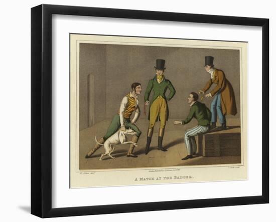 A Match at the Badger-Henry Thomas Alken-Framed Giclee Print