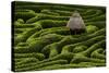 A Maze in Glendurgan Garden on the Lizard Peninsula in Cornwall, England, United Kingdom, Europe-Alex Treadway-Stretched Canvas