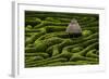 A Maze in Glendurgan Garden on the Lizard Peninsula in Cornwall, England, United Kingdom, Europe-Alex Treadway-Framed Photographic Print