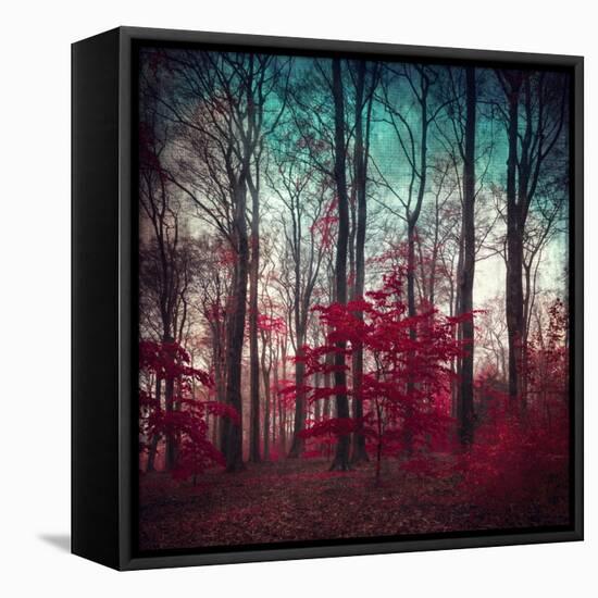 A Maze-Dirk Wuestenhagen-Framed Stretched Canvas