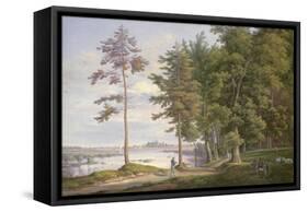 A Meadow in Hamburg-Joachim Faber-Framed Stretched Canvas