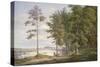 A Meadow in Hamburg-Joachim Faber-Stretched Canvas