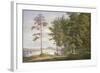 A Meadow in Hamburg-Joachim Faber-Framed Giclee Print