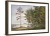 A Meadow in Hamburg-Joachim Faber-Framed Giclee Print