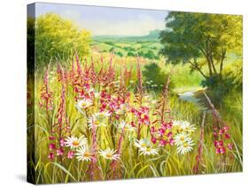A Meadow In Spring-Mary Dipnall-Stretched Canvas