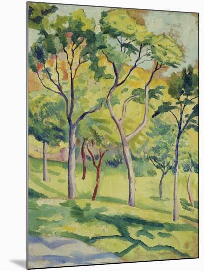 A Meadow with Trees, 1910-August Macke-Mounted Giclee Print