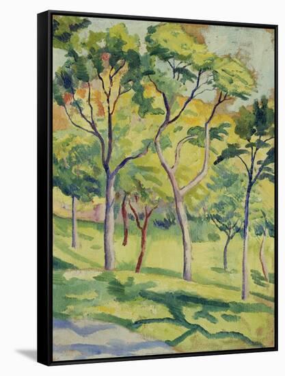 A Meadow with Trees, 1910-August Macke-Framed Stretched Canvas