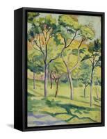 A Meadow with Trees, 1910-August Macke-Framed Stretched Canvas