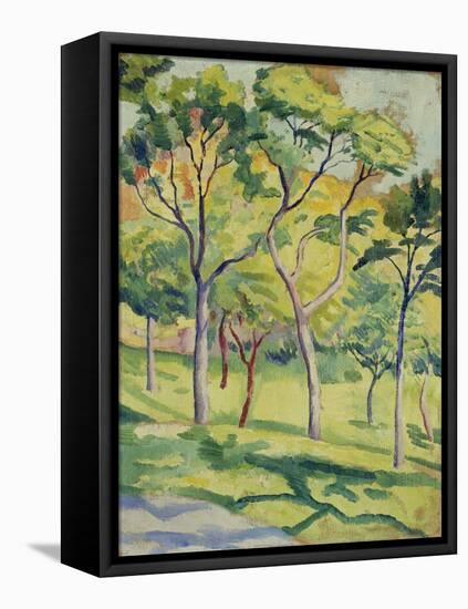 A Meadow with Trees, 1910-August Macke-Framed Stretched Canvas