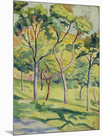 A Meadow with Trees, 1910-August Macke-Mounted Giclee Print