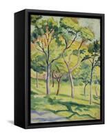 A Meadow with Trees, 1910-August Macke-Framed Stretched Canvas