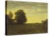 A Meadow with Trees-Alexander Helwig Wyant-Stretched Canvas