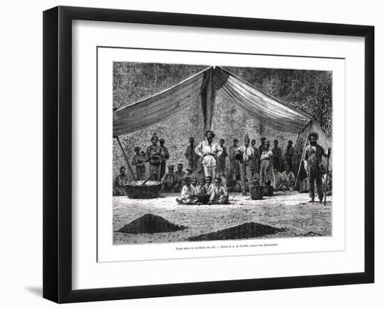 A Meal after the Gathering of Coffee, Brazil, 19th Century-A de Neuville-Framed Giclee Print