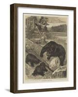 A Meal for the Little Ones, Searching for Beetles in a North American Forest-null-Framed Giclee Print