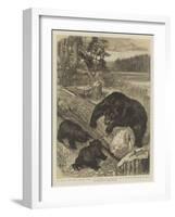 A Meal for the Little Ones, Searching for Beetles in a North American Forest-null-Framed Giclee Print