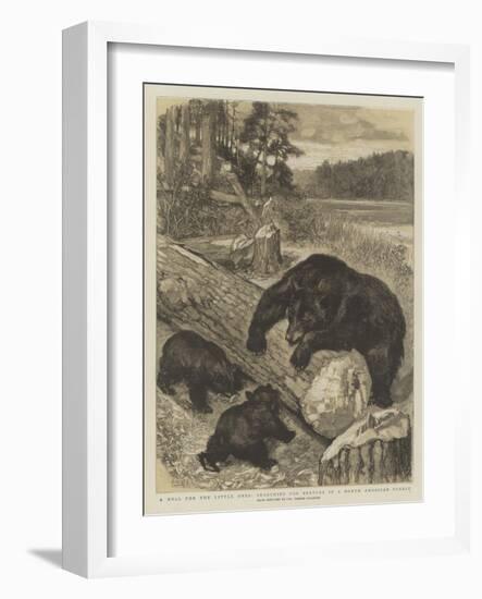 A Meal for the Little Ones, Searching for Beetles in a North American Forest-null-Framed Giclee Print