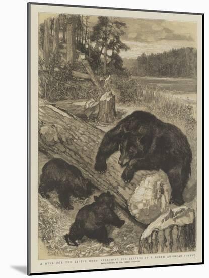 A Meal for the Little Ones, Searching for Beetles in a North American Forest-null-Mounted Giclee Print