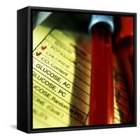 A Medical Test Checklist with Test Vials-null-Framed Stretched Canvas