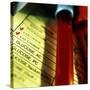 A Medical Test Checklist with Test Vials-null-Stretched Canvas