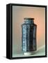 A medicine jar-Werner Forman-Framed Stretched Canvas