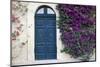 A Mediterranean House in Gozo, Malta with an Old Door and a Tree with Flowers Climbing the Wall-Annems-Mounted Photographic Print