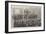 A Meeting of the New Constitutional Parliament at Belgrade, Servia-null-Framed Giclee Print