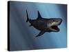 A Megalodon Shark from the Cenozoic Era-Stocktrek Images-Stretched Canvas