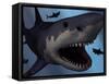 A Megalodon Shark from the Cenozoic Era-Stocktrek Images-Framed Stretched Canvas