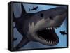 A Megalodon Shark from the Cenozoic Era-Stocktrek Images-Framed Stretched Canvas