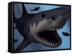 A Megalodon Shark from the Cenozoic Era-Stocktrek Images-Framed Stretched Canvas