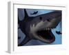 A Megalodon Shark from the Cenozoic Era-Stocktrek Images-Framed Photographic Print