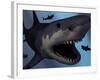 A Megalodon Shark from the Cenozoic Era-Stocktrek Images-Framed Photographic Print