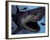 A Megalodon Shark from the Cenozoic Era-Stocktrek Images-Framed Photographic Print