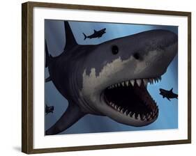 A Megalodon Shark from the Cenozoic Era-Stocktrek Images-Framed Photographic Print