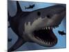 A Megalodon Shark from the Cenozoic Era-Stocktrek Images-Mounted Photographic Print