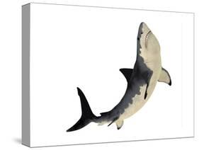 A Megalodon Shark from the Cenozoic Era-null-Stretched Canvas