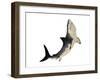 A Megalodon Shark from the Cenozoic Era-null-Framed Art Print