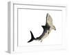 A Megalodon Shark from the Cenozoic Era-null-Framed Art Print