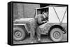 A Member of the British 49th Armoured Personnel Carrier Regiment Working Jeep's Convertible Roof-George Silk-Framed Stretched Canvas