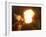 A Member of the Mocidade Samba School Spits Fire-null-Framed Photographic Print