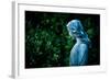 A Memory of You-Sharon Wish-Framed Photographic Print