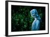 A Memory of You-Sharon Wish-Framed Photographic Print