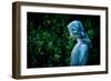 A Memory of You-Sharon Wish-Framed Photographic Print