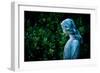 A Memory of You-Sharon Wish-Framed Photographic Print