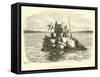 A Menagerie on a Raft-Édouard Riou-Framed Stretched Canvas