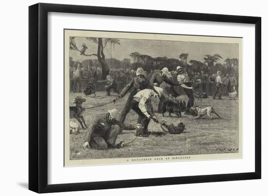 A Menagerie Race at Singapore-John Charles Dollman-Framed Giclee Print