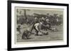 A Menagerie Race at Singapore-John Charles Dollman-Framed Giclee Print