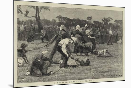 A Menagerie Race at Singapore-John Charles Dollman-Mounted Giclee Print