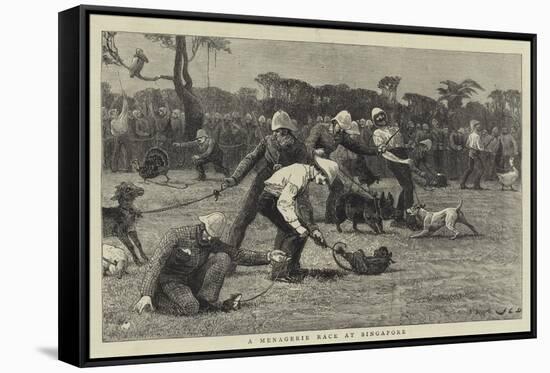 A Menagerie Race at Singapore-John Charles Dollman-Framed Stretched Canvas